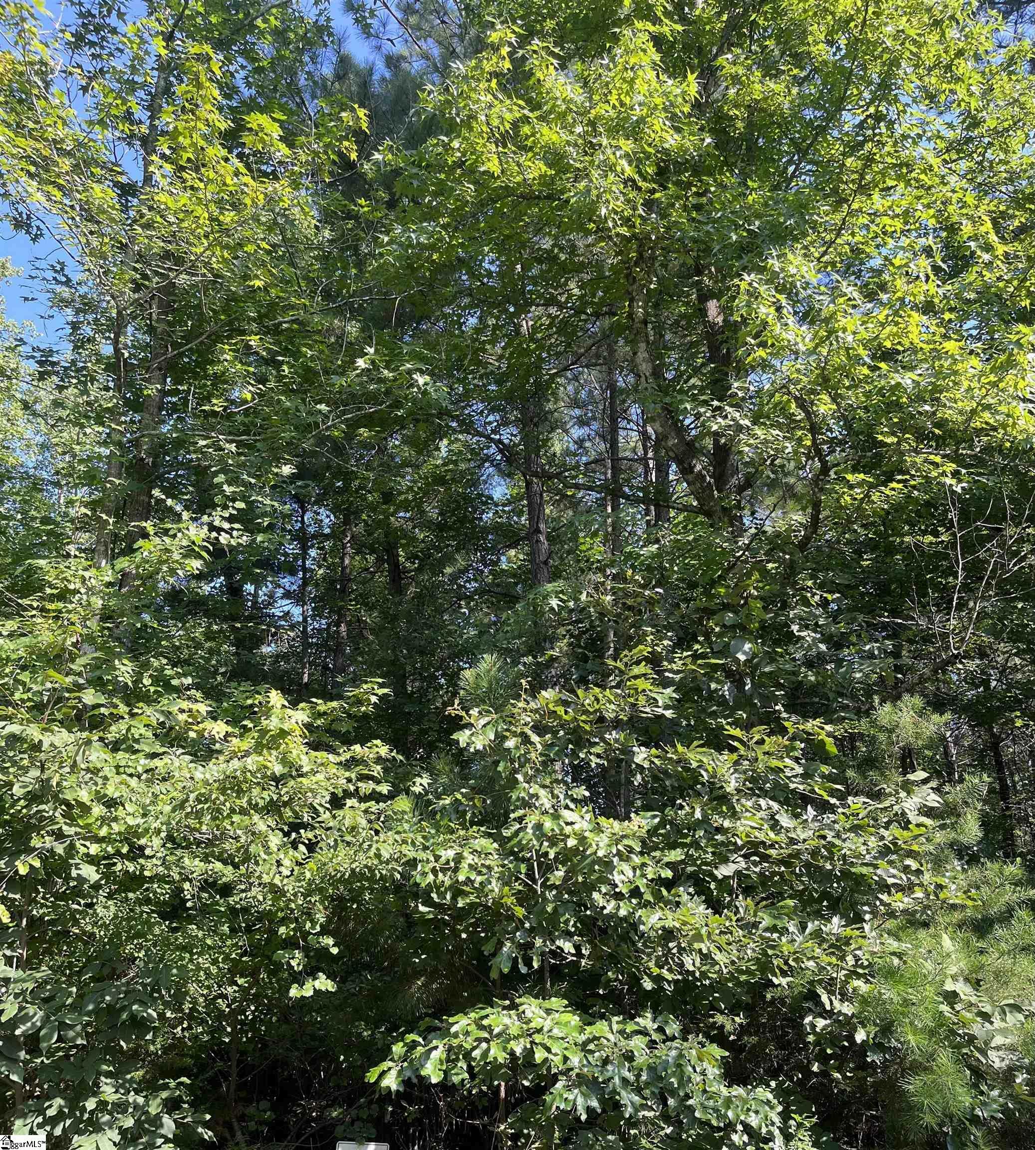 Property Photo:  00 Pine Knoll Road Lot 41  SC 29643 