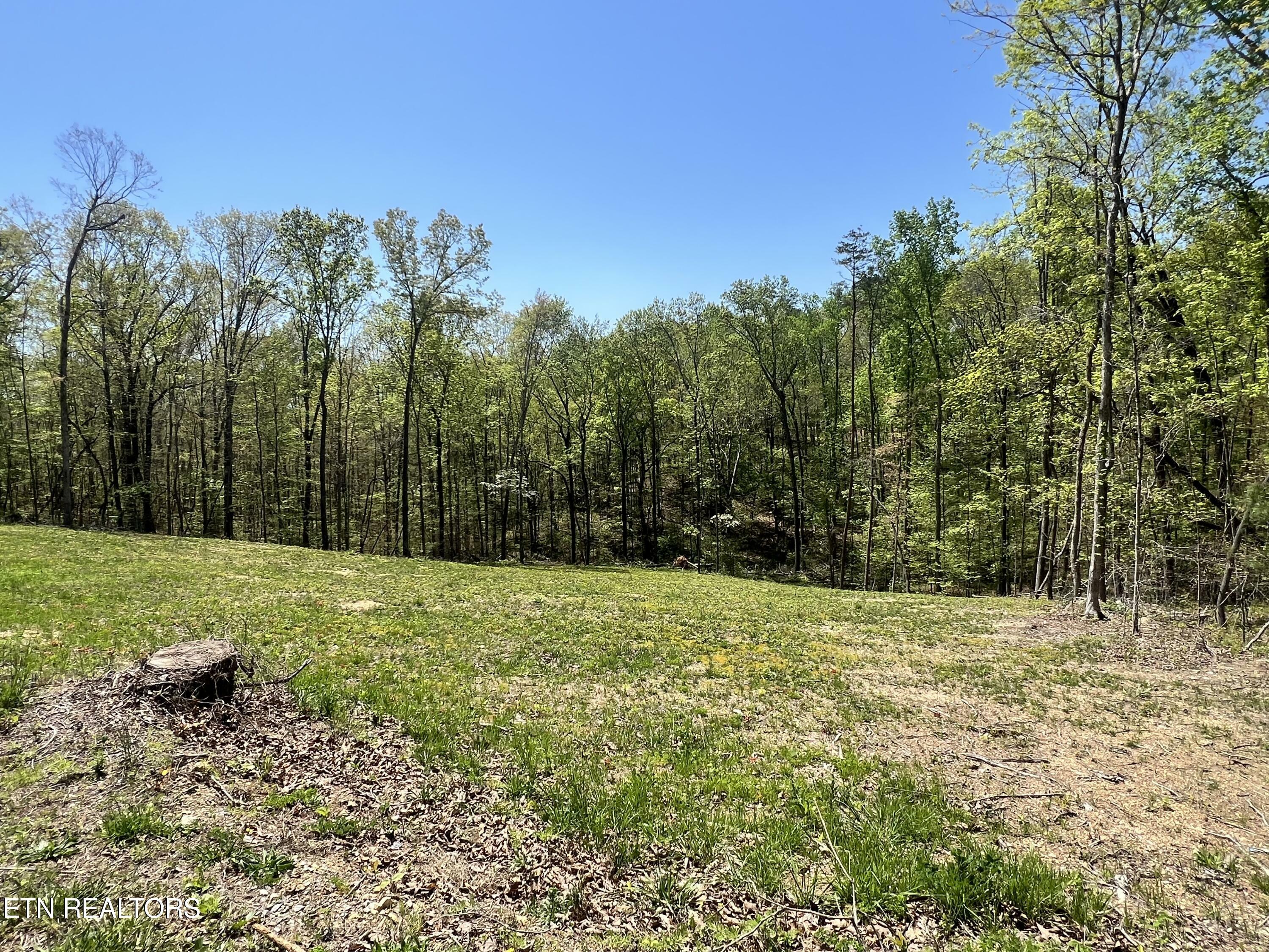 Property Photo:  215 Clear Springs Rd  TN 37748 