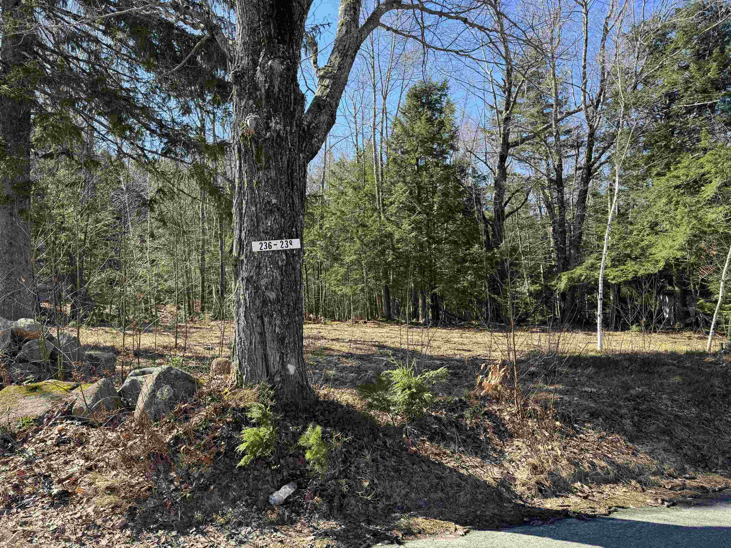 Property Photo:  238 Valley Road  NH 03814 