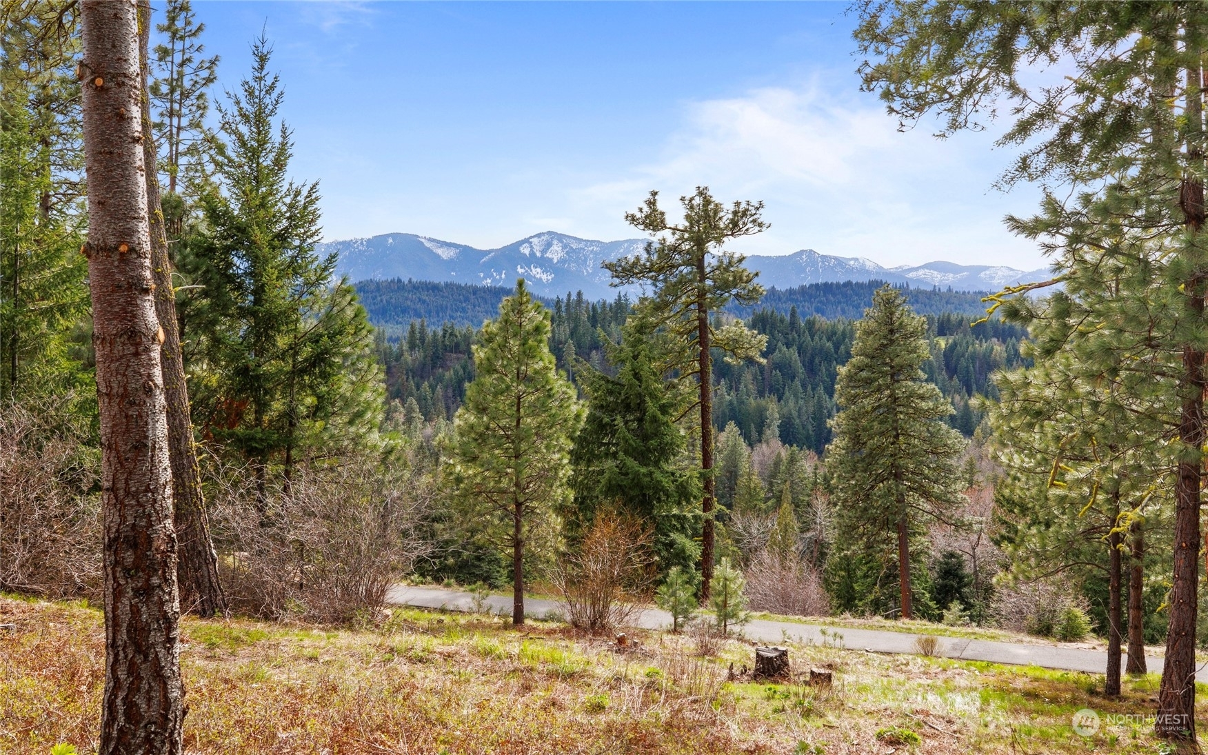 Property Photo:  331 Kokanee Loop  WA 98922 