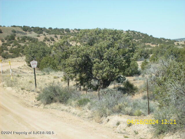 X Road 3179  Aztec NM 87410 photo