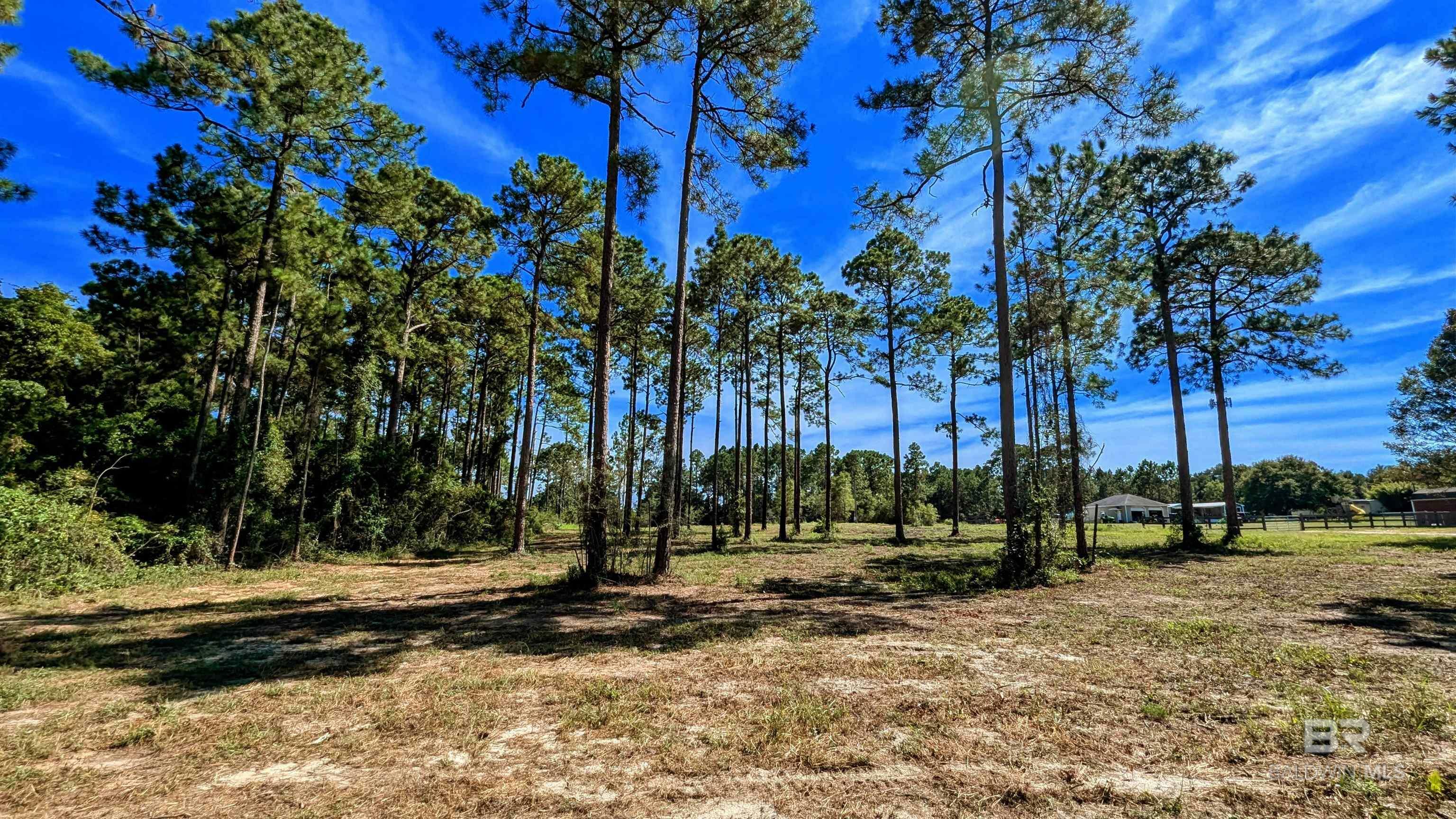 Property Photo:  31870 Grafton Road  AL 36549 