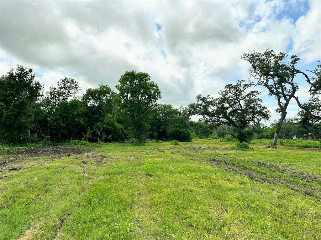 Property Photo:  00 County Road 335  TX 77422 