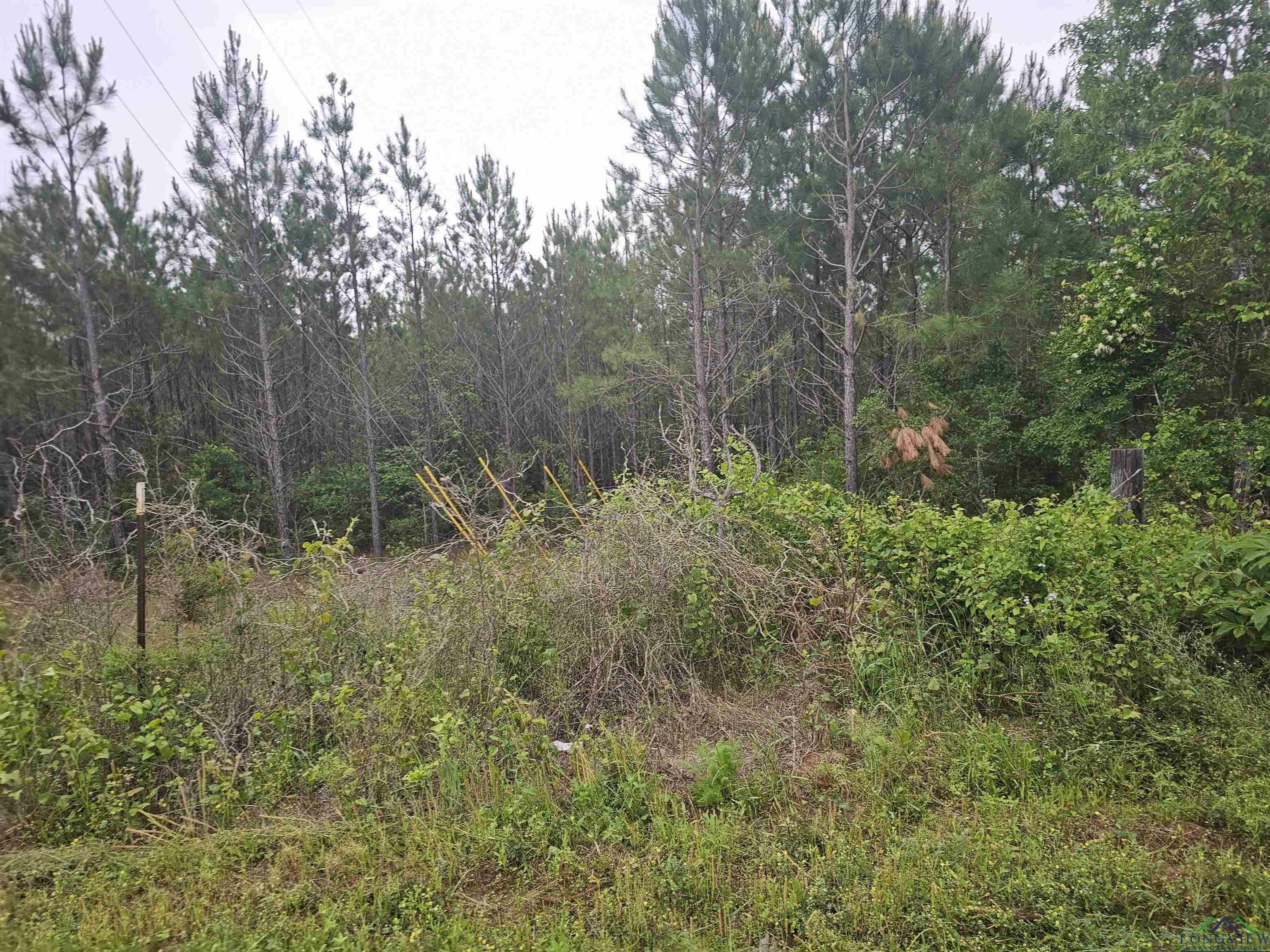 Property Photo:  Tbd N 79.99 Ac Cr 324  TX 75652 