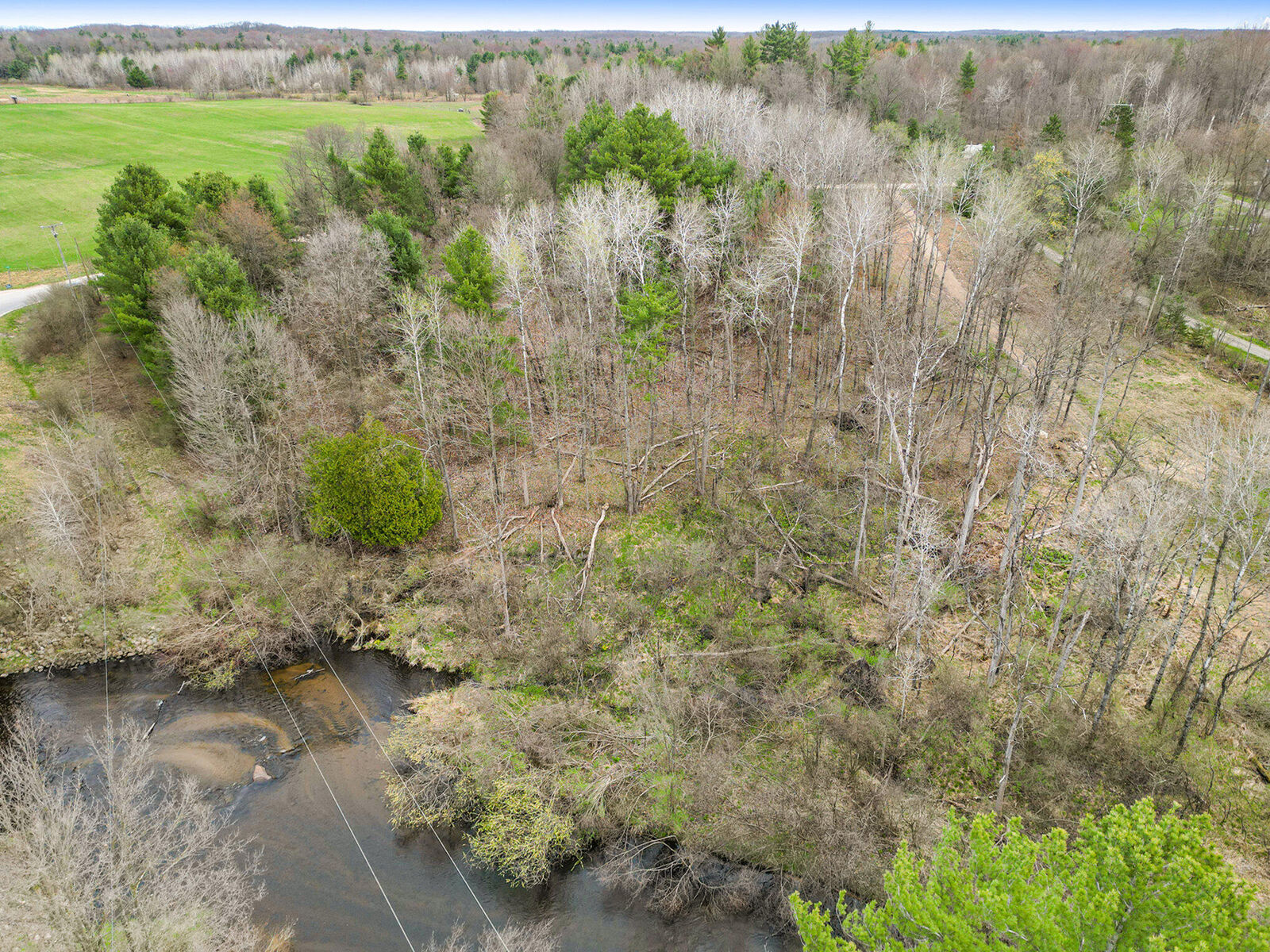 Property Photo:  0 2 Mile Road  MI 49337 