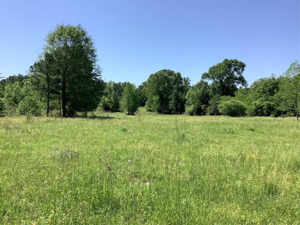 Property Photo:  0 Old Plain Dealing Rd Road  LA 71064 