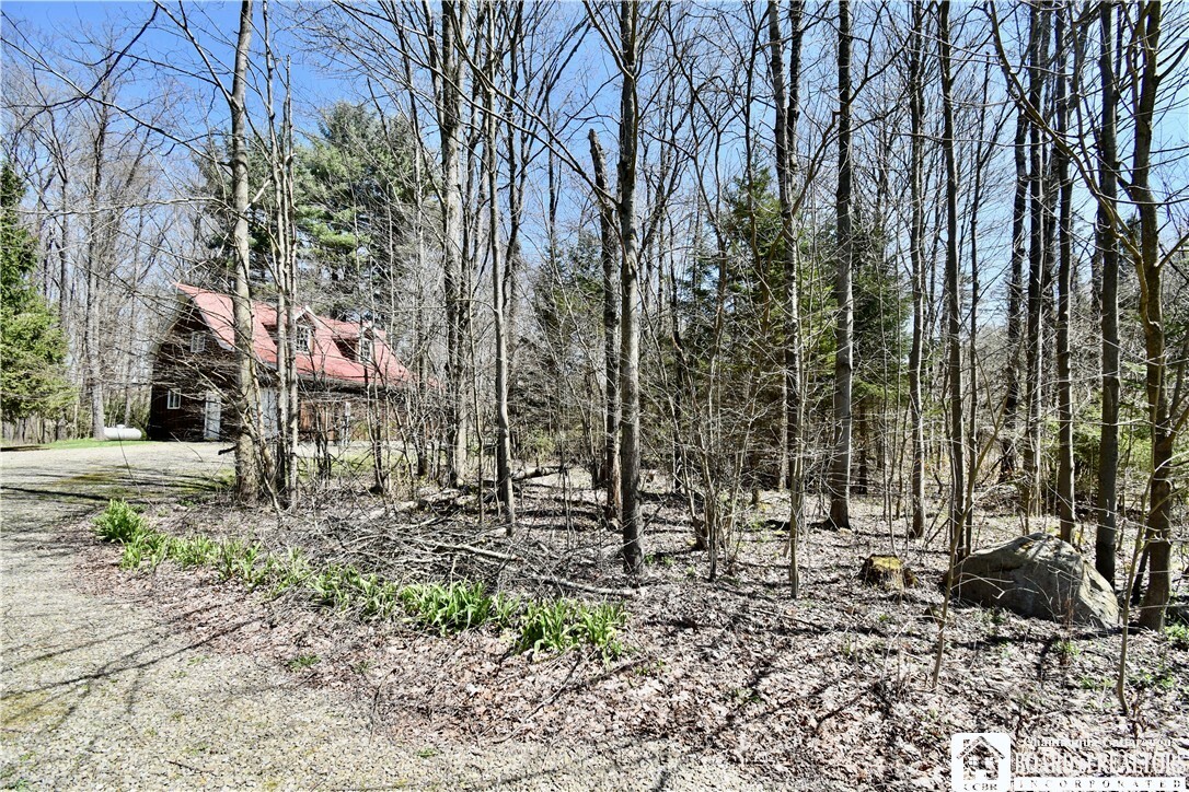 Property Photo:  6784 Eggleston Hill Road  NY 14781 