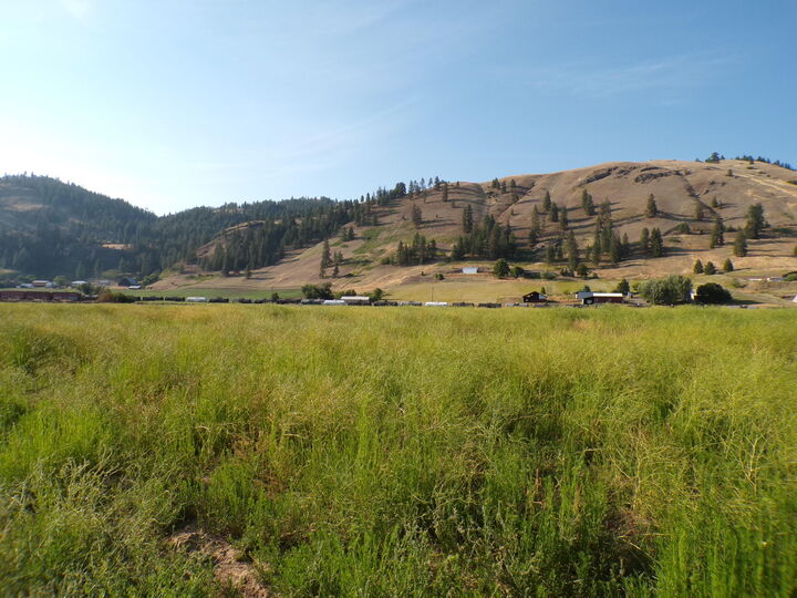 Property Photo:  781 H Hwy 395  WA 99141 