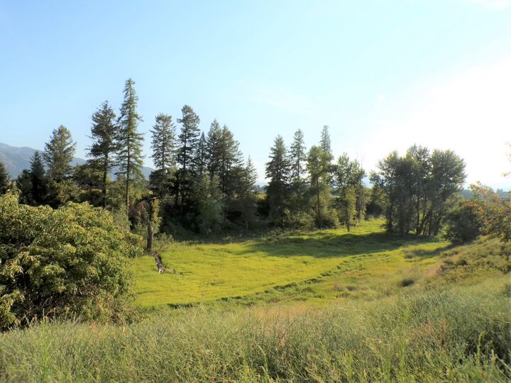 Property Photo:  781 H Hwy 395  WA 99141 