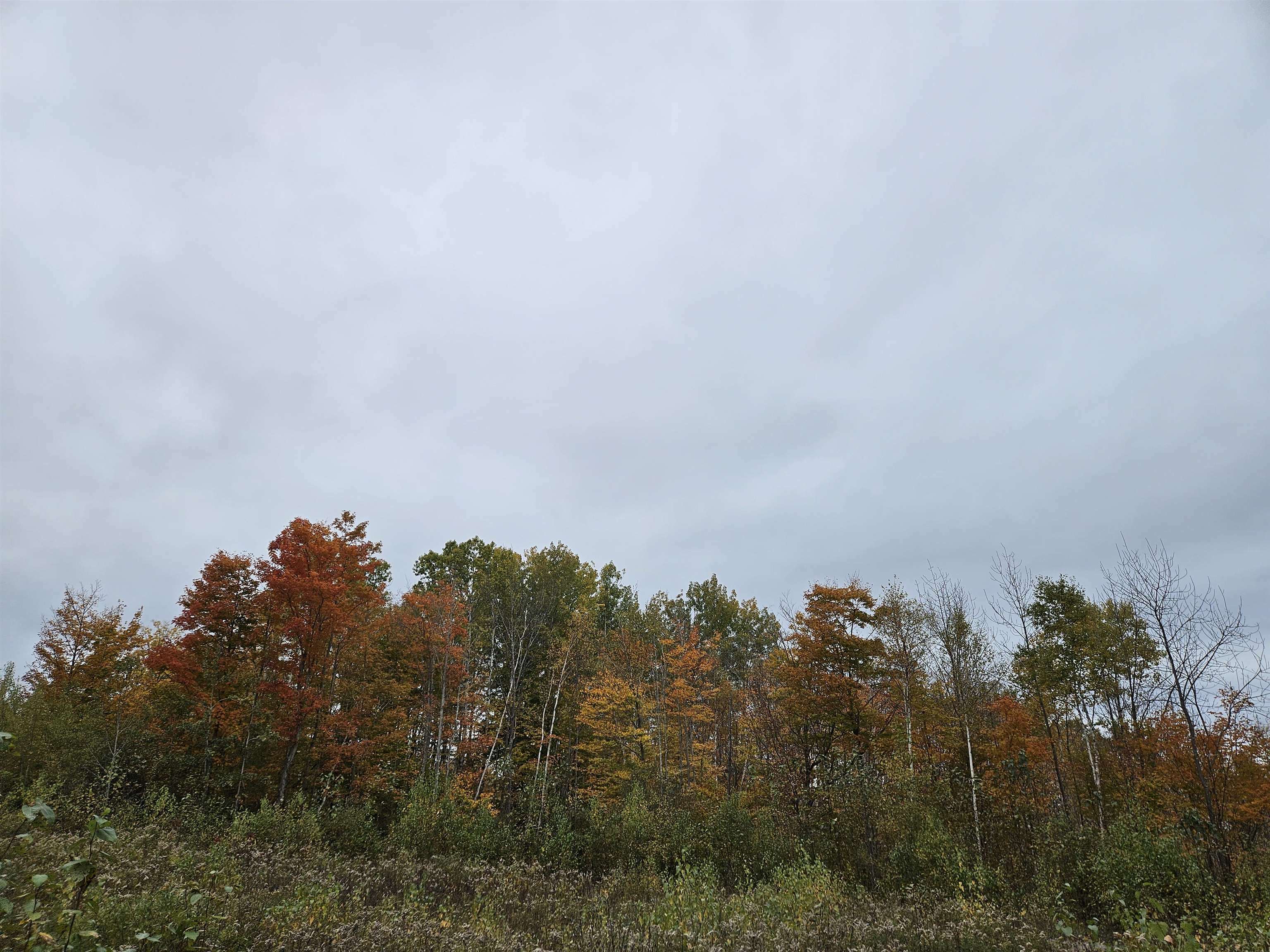 Property Photo:  Lot 15 Cannon View Drive  NH 03586 