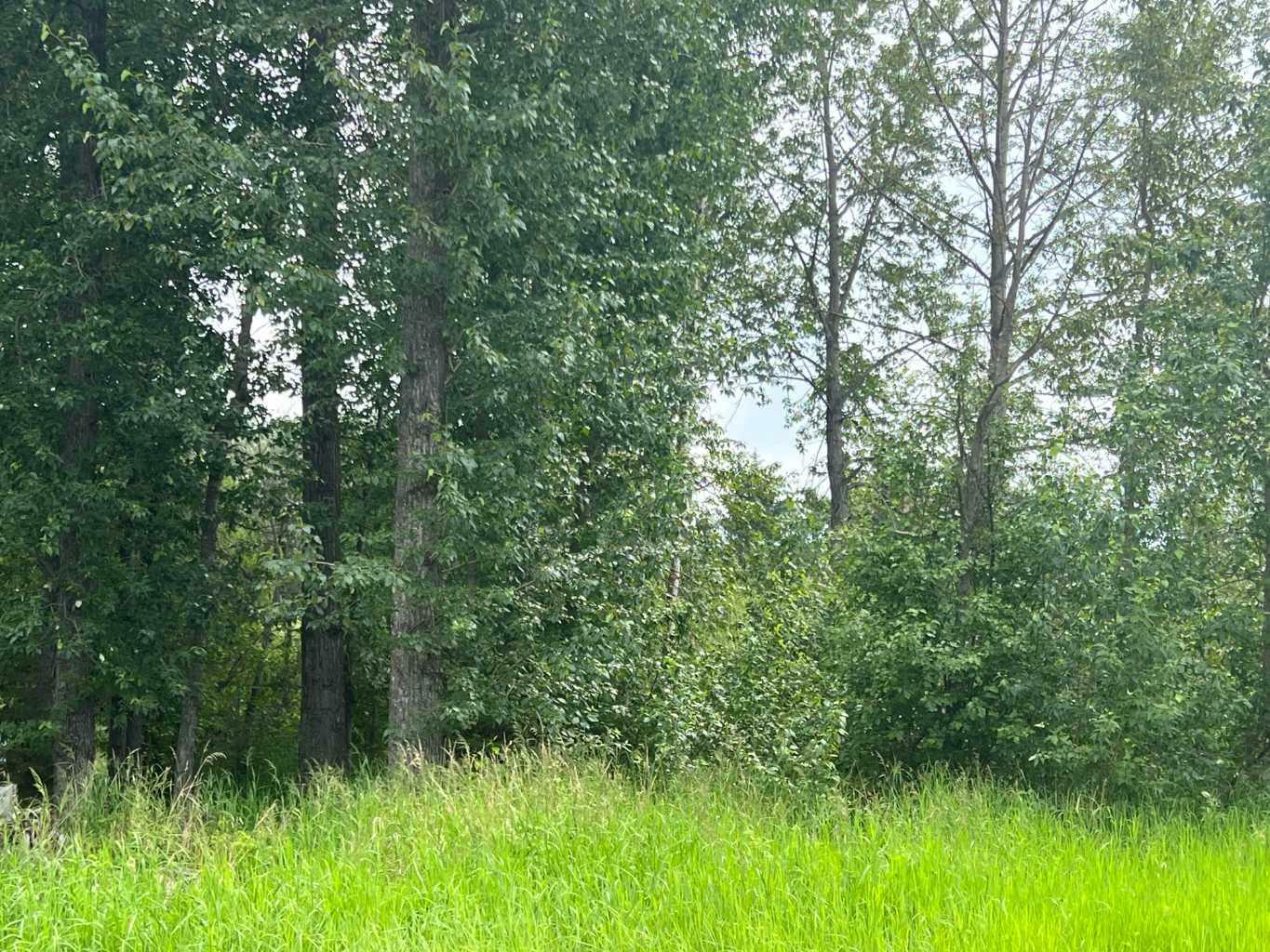 Property Photo:  Lot 2 Herb Crescent  AB T0G 2A0 
