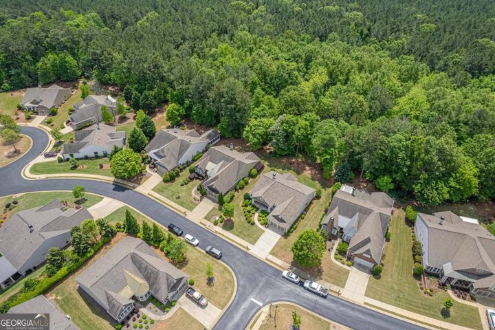 1080 Water Front Road  Greensboro GA 30642 photo