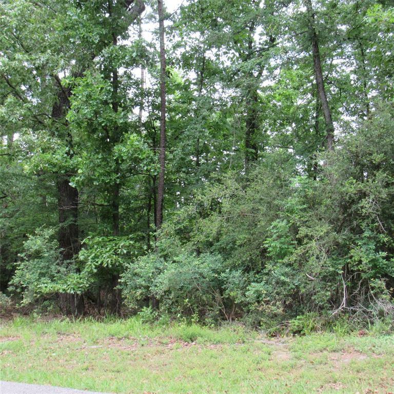 Property Photo:  Tbd Rolling Ridge  TX 75765 