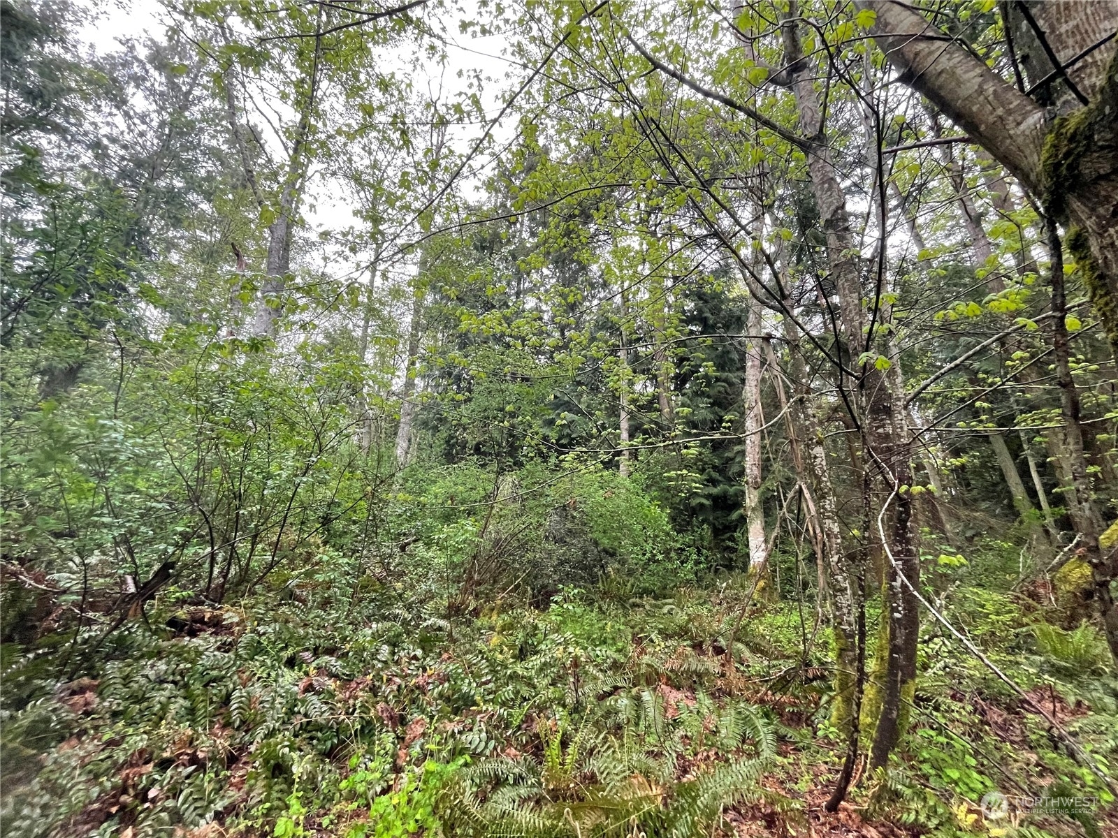 Property Photo: 63 S Camano Ridge Road WA 98282