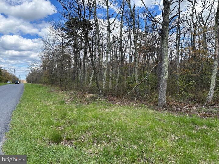 Property Photo: Lot 102 Bow Wood Trail VA 22602