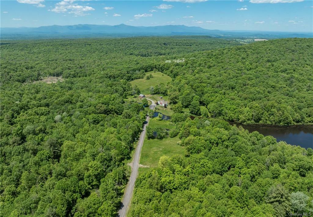 Property Photo:  368 Skiba Road  NY 12567 