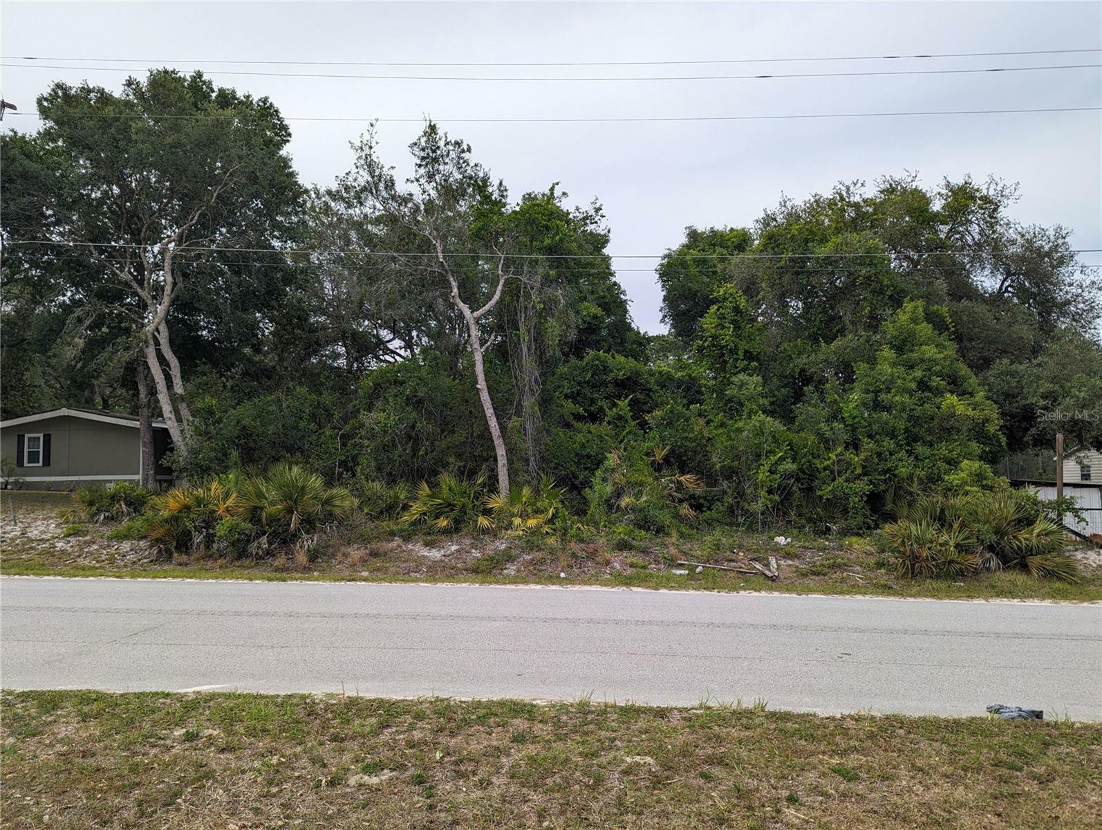 Property Photo: Spruce Drive FL 32736