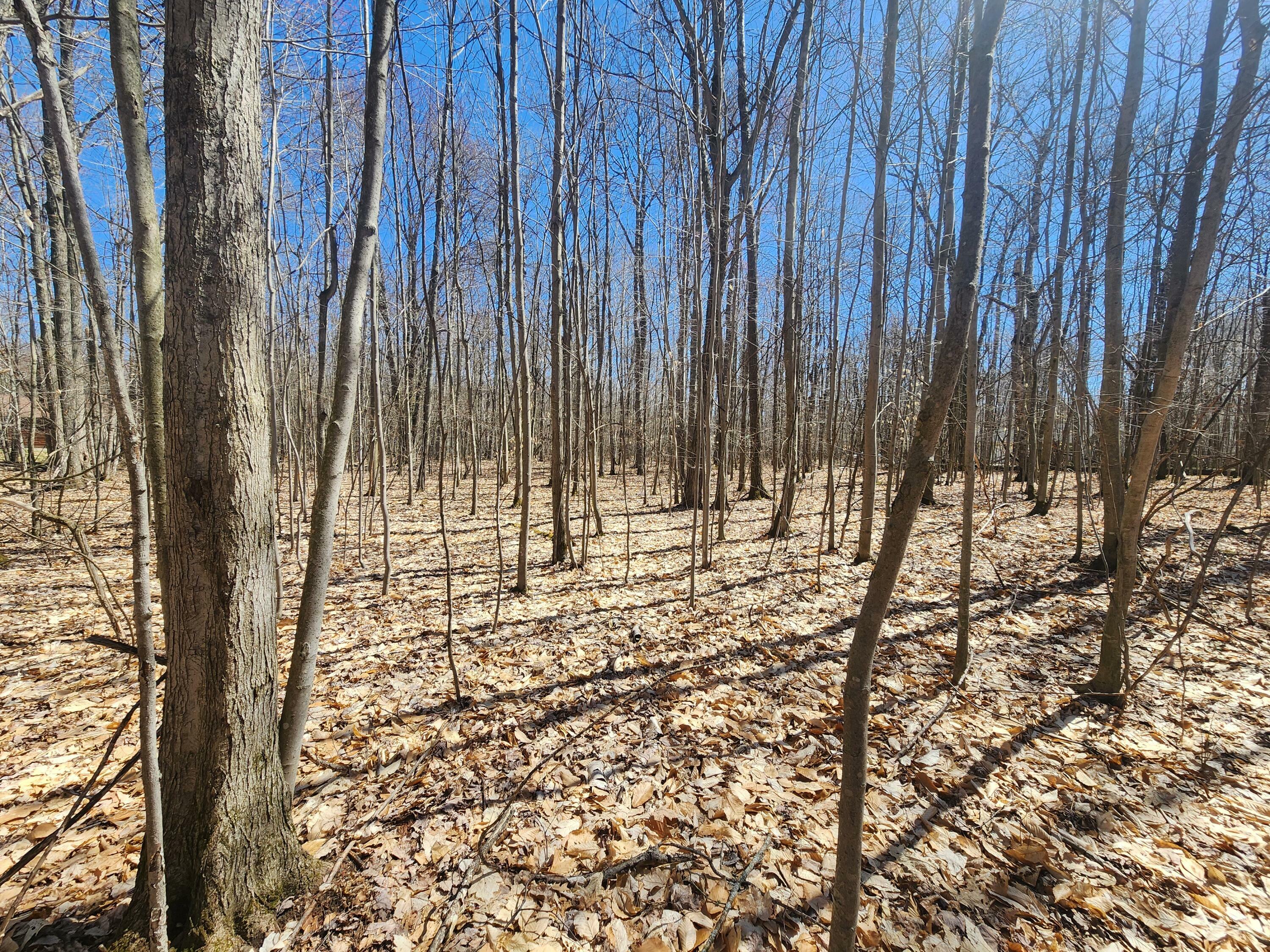 Property Photo:  Lot 573 Ferngrove Court  MI 49735 