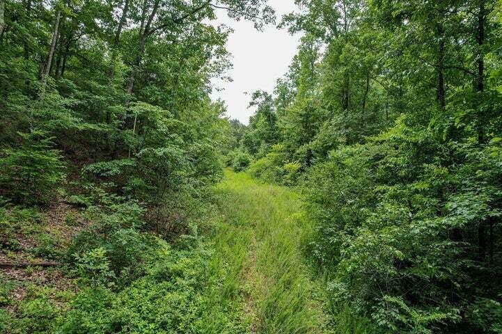 Property Photo:  00 92 County Rd  TN 37303 