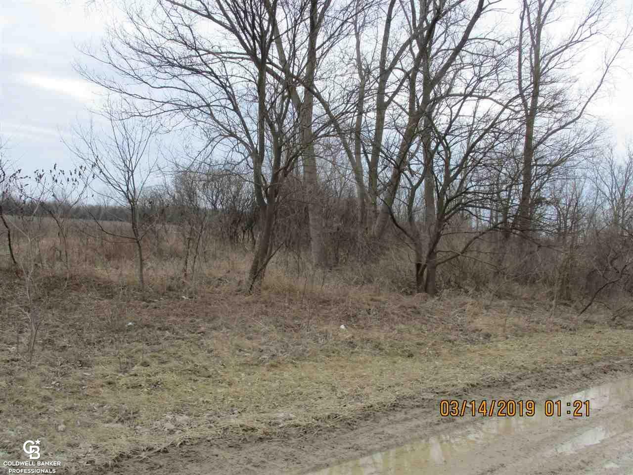 Property Photo:  00 Armada Ridge B1 Road  MI 48062 