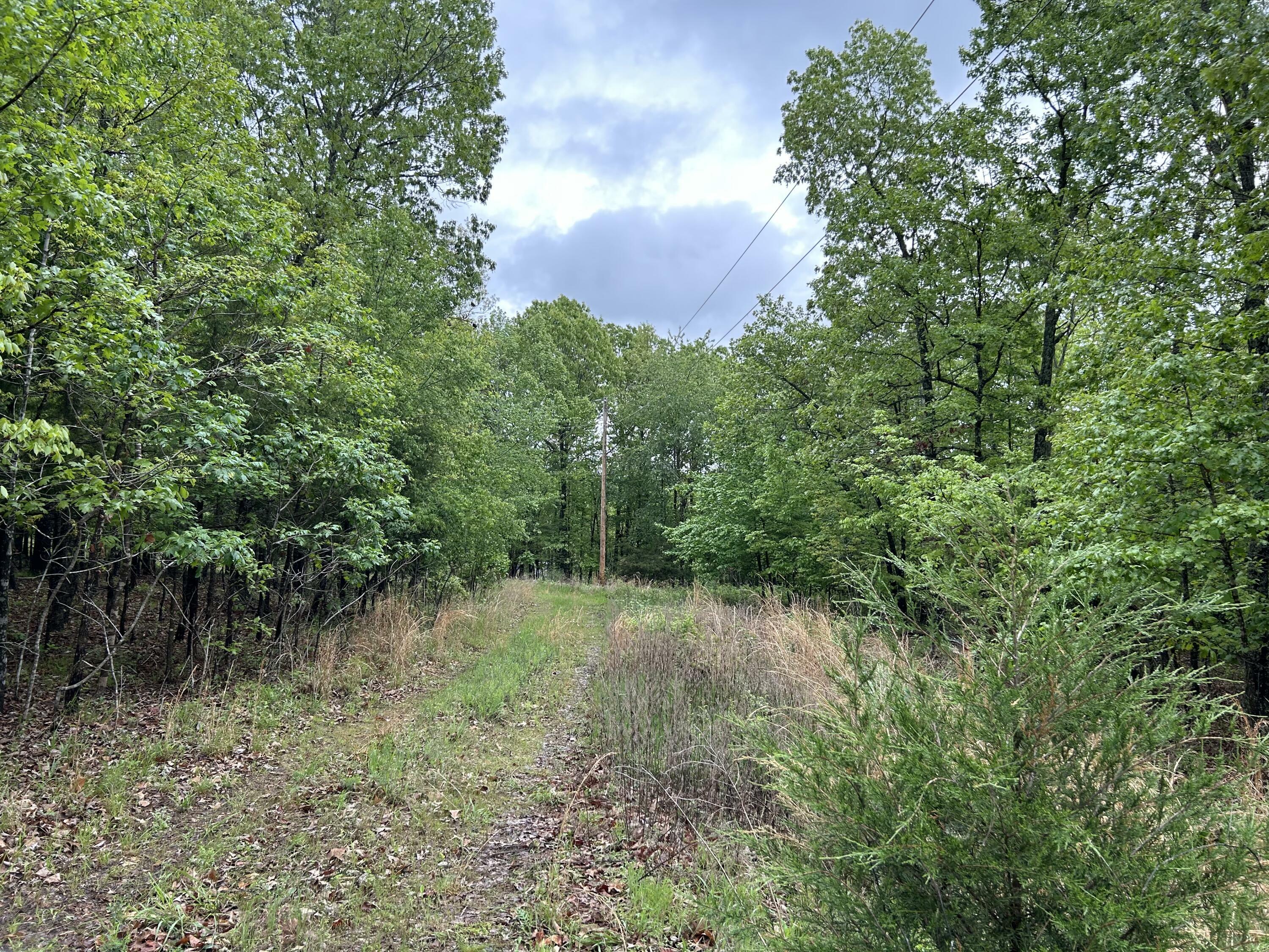 Property Photo:  264 County Road 101  MO 65606 