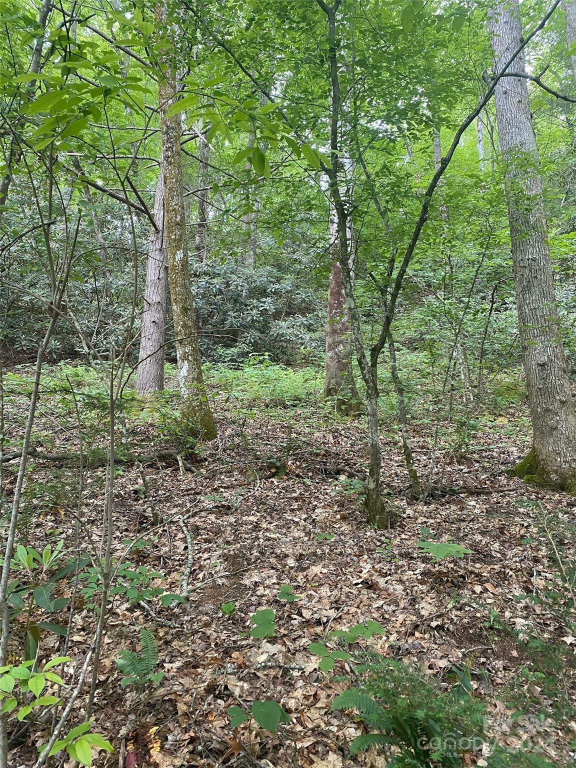 Property Photo:  0 Cedar Creek Road 61  NC 28746 