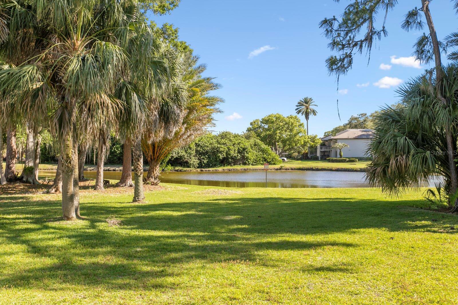 Property Photo: 119 Martha Lane 119 FL 34677