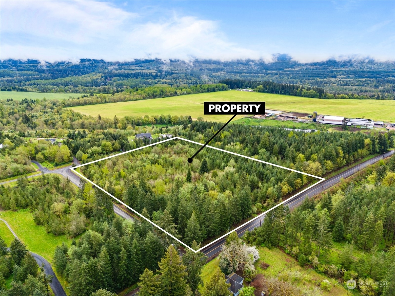 Property Photo:  425 Brim Road  WA 98570 