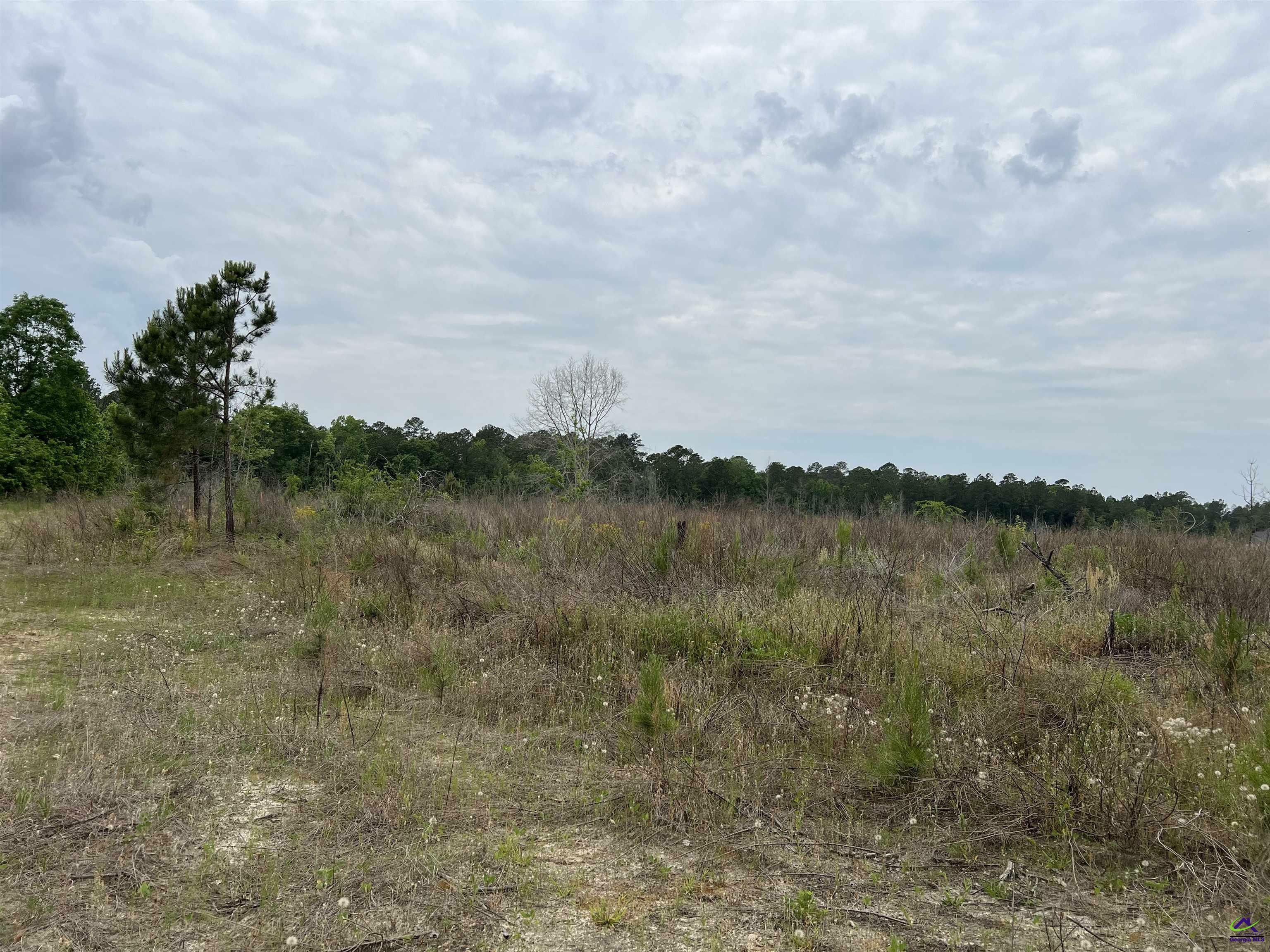 Property Photo:  Lot 5 Longstreet Church  GA 31014 