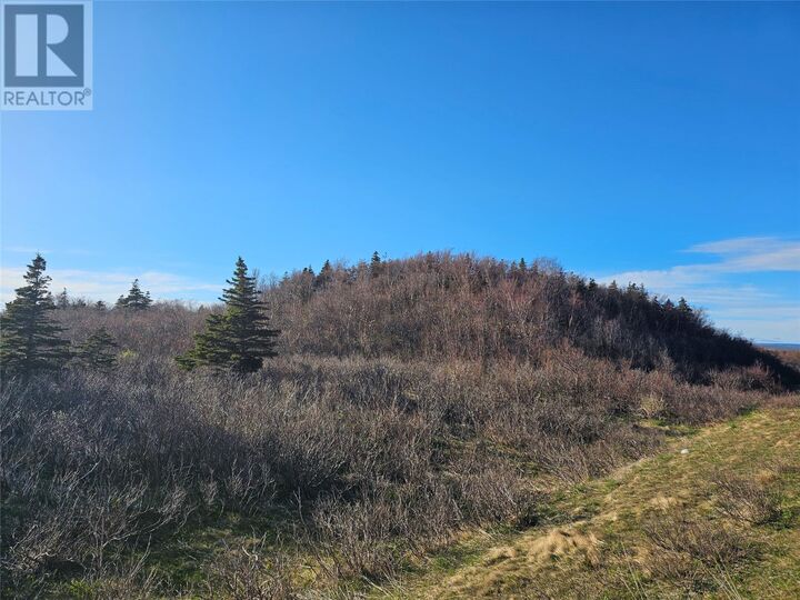 Property Photo:  1 Tch Highway  NL A0N 1K0 