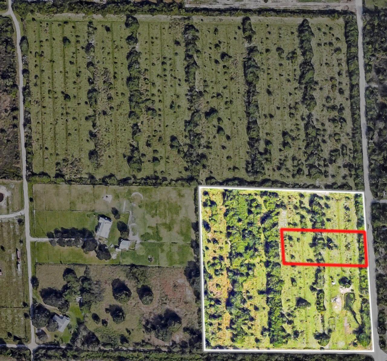 Property Photo: 6219 Grove Boulevard FL 33982
