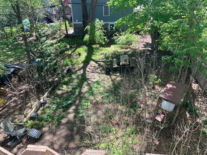 Property Photo:  52 Alleghany St  MA 02120 