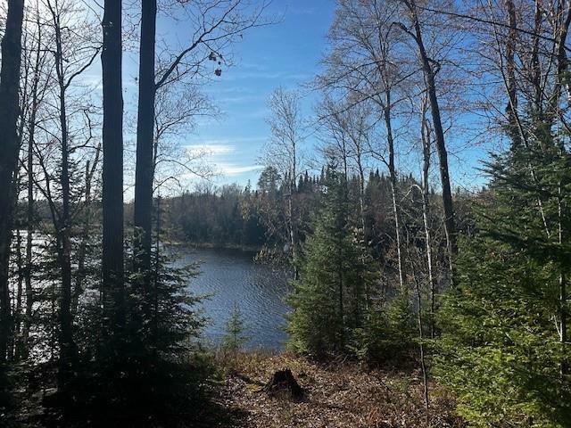 Property Photo:  Lot 3 Canvasback Lane  WI 54843 