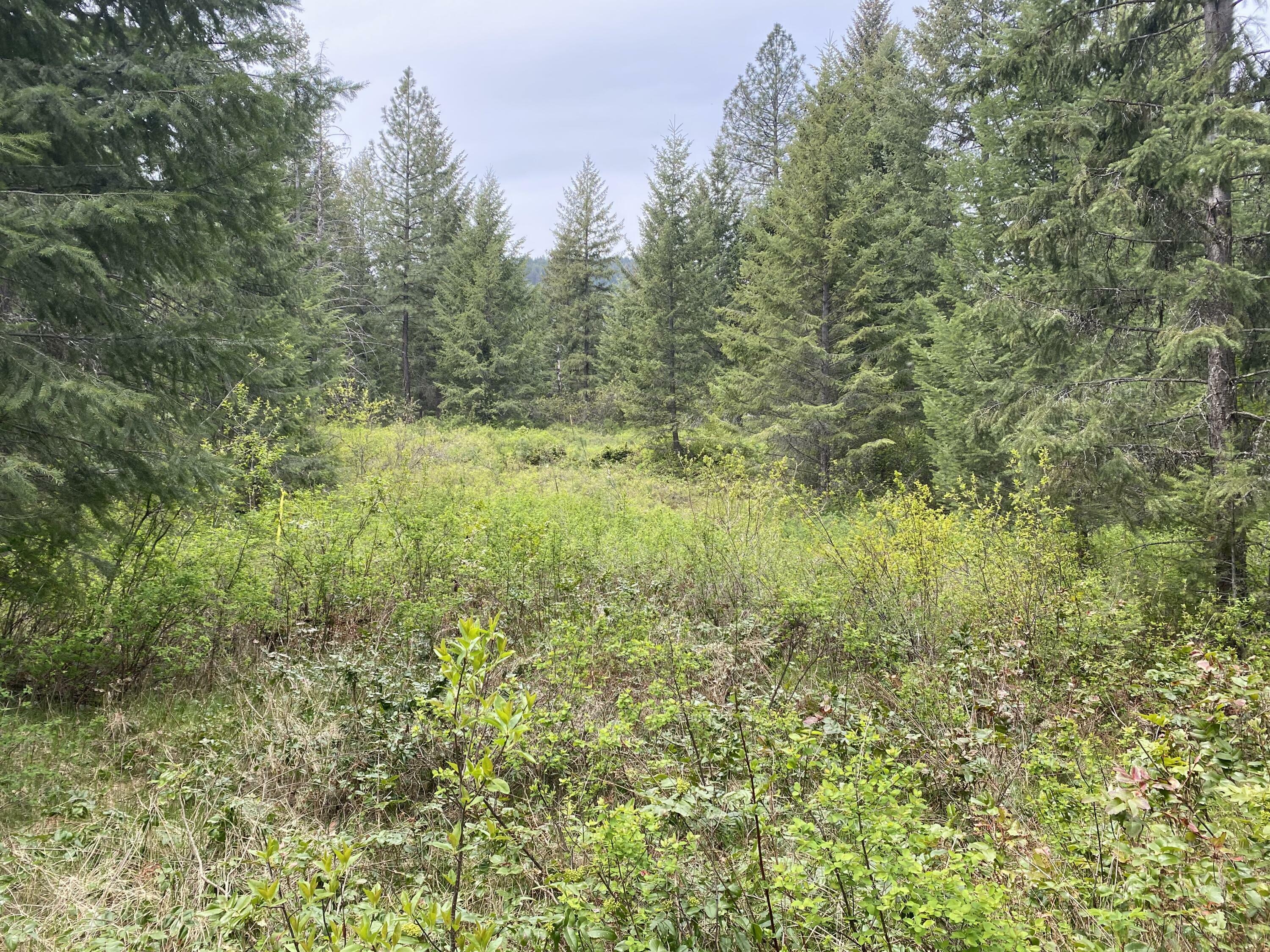 Property Photo:  345X Lael Road  WA 99141 