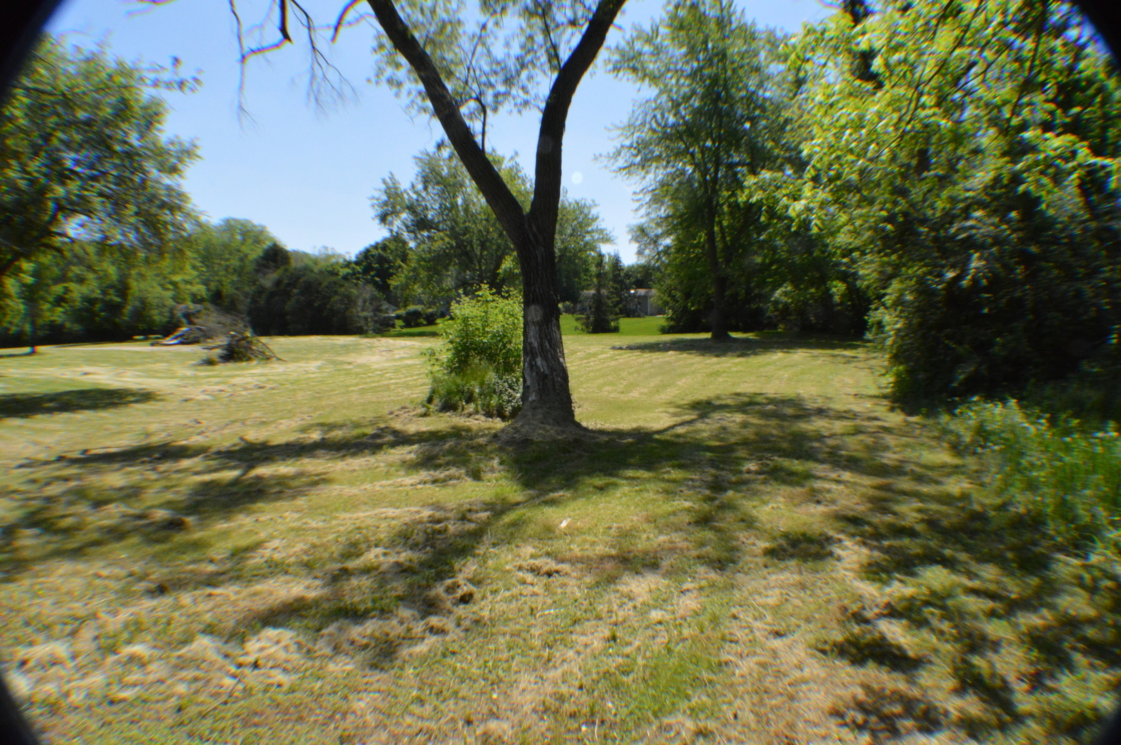 Property Photo:  605 Blackhawk Lane  IL 60152 