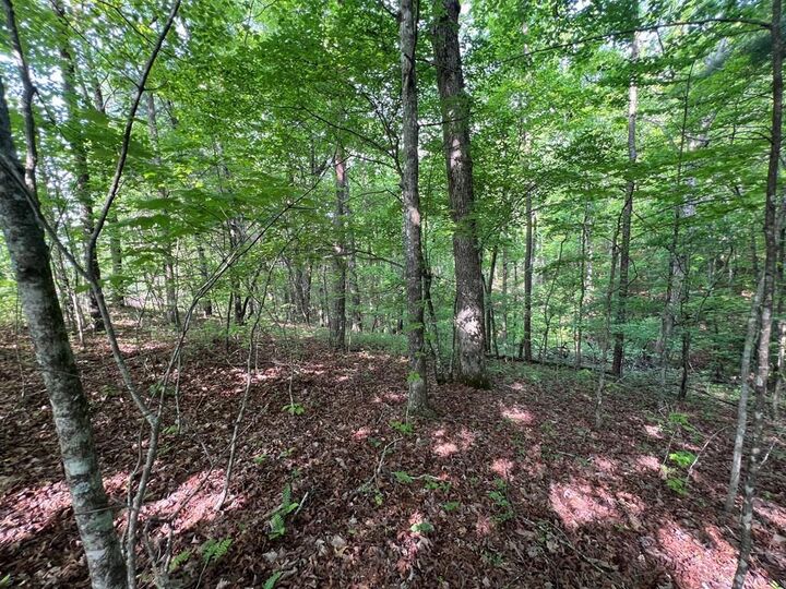 Property Photo: Lot 1 Weece Mountain Est NC 28906