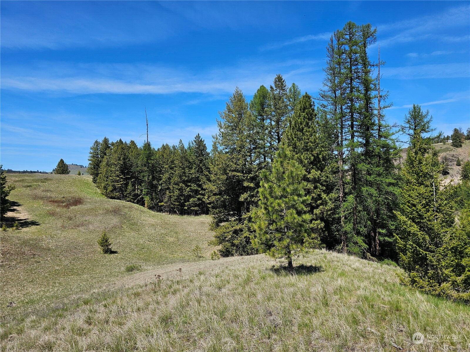 Property Photo:  23 Xx  Chesaw Road  WA 98844 