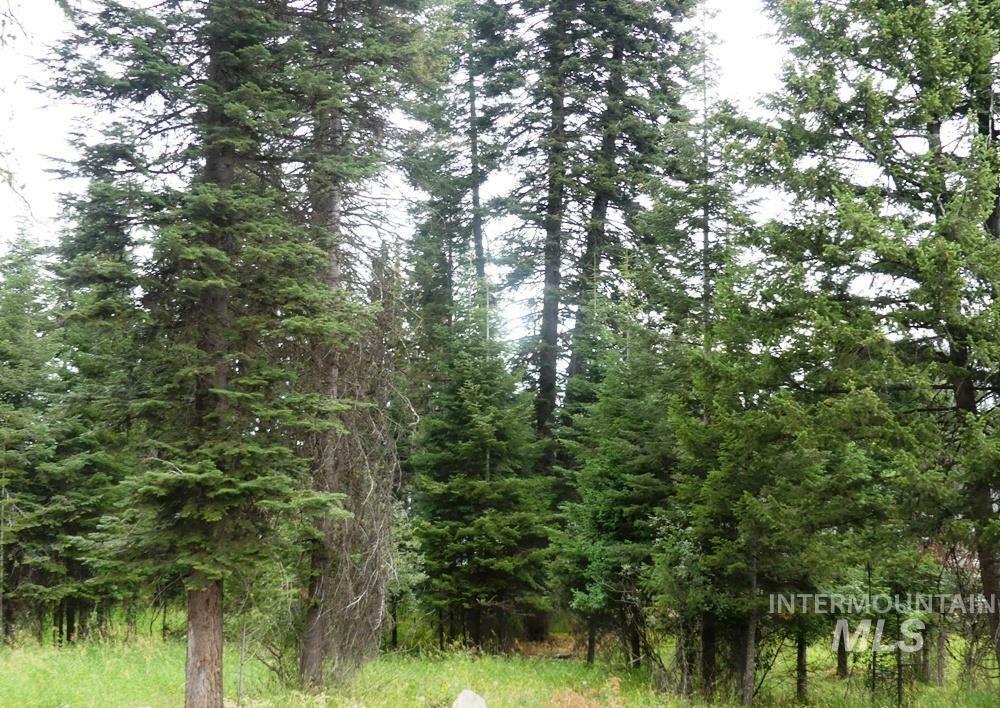 Property Photo:  Tbd Lot 1 Clements  ID 83638 