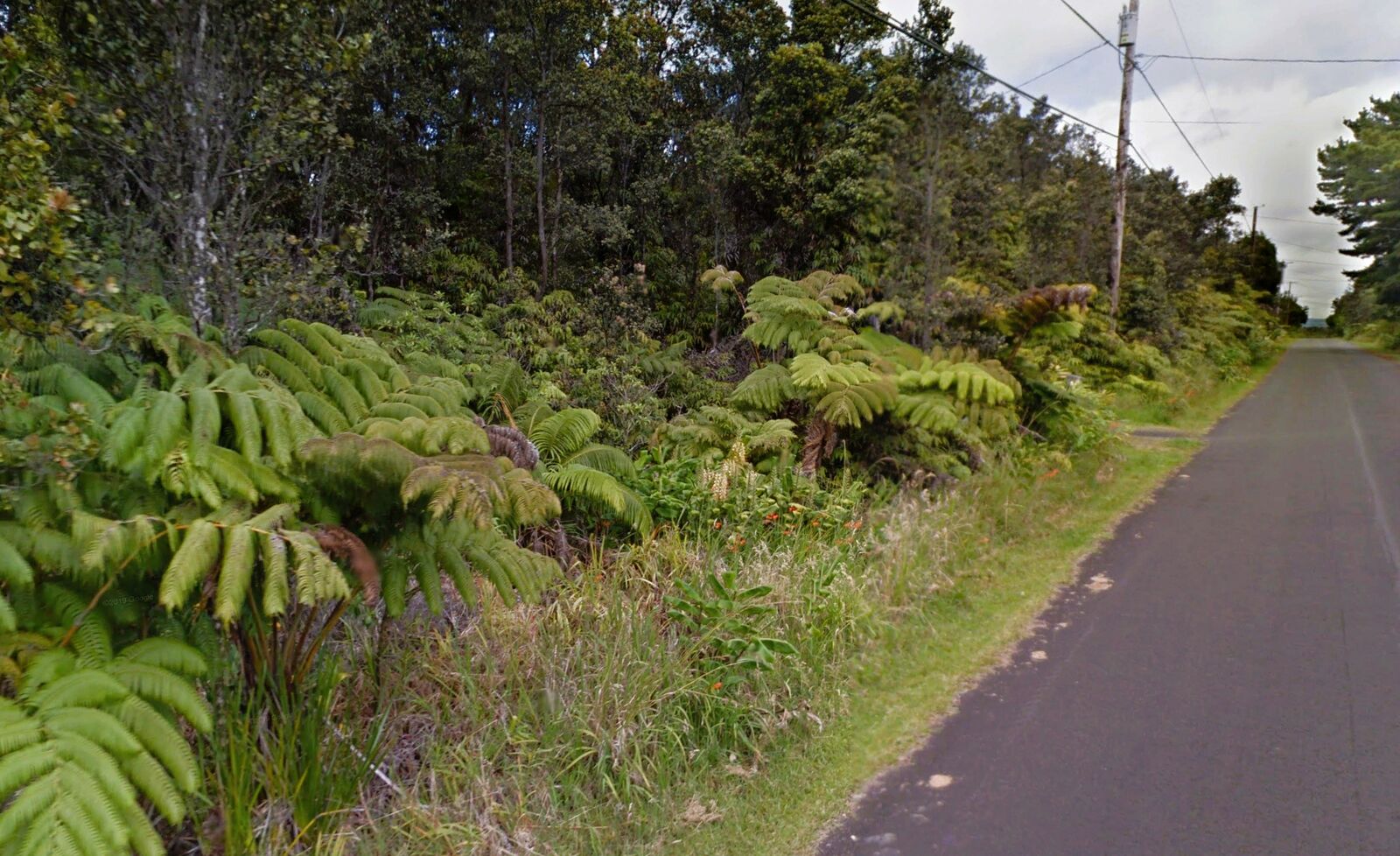 Property Photo:  Liona St  HI 96785 