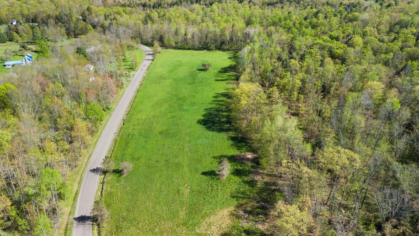 Property Photo:  0 Wyok Road  NY 13790 