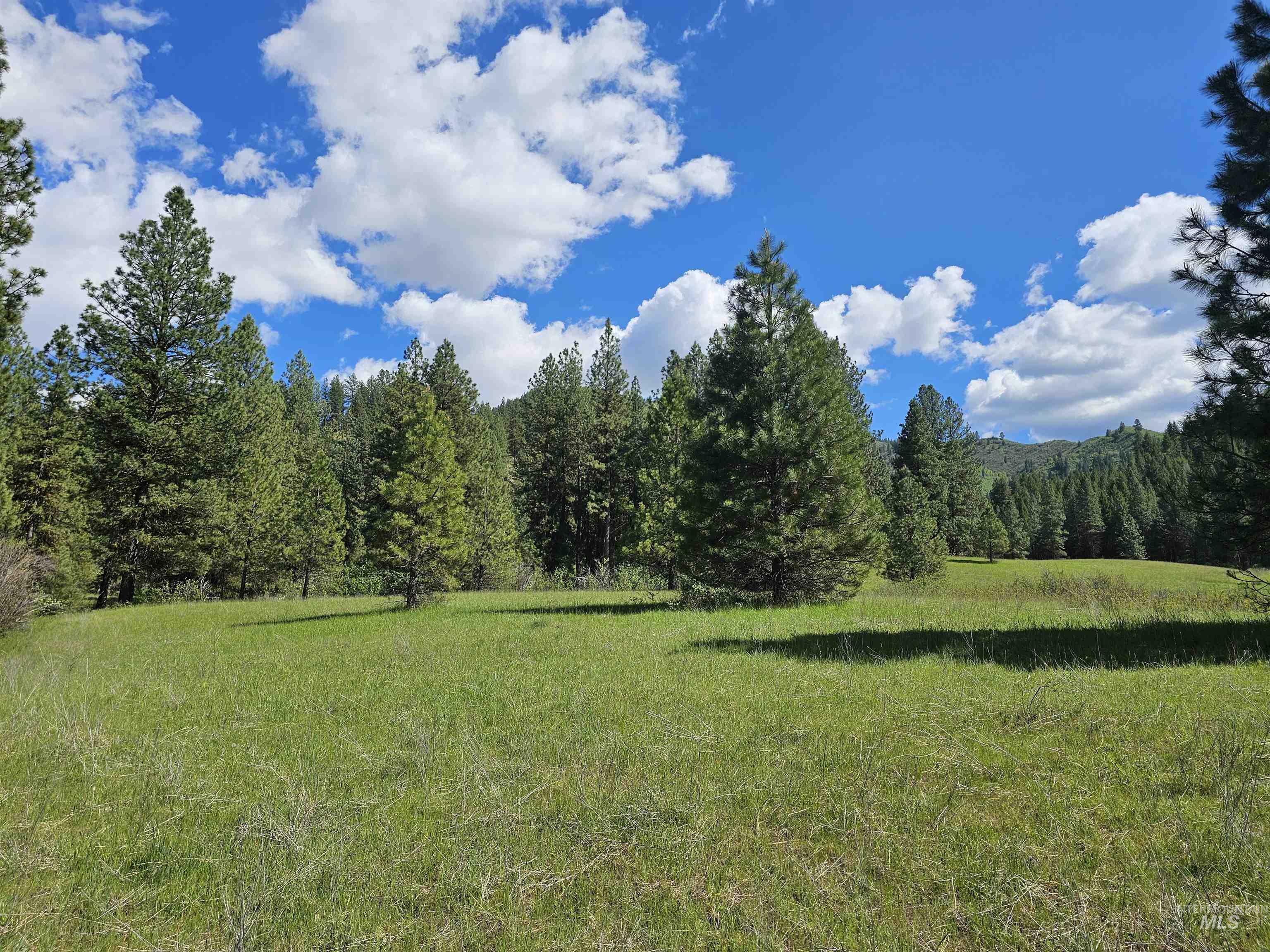 Property Photo:  Tbd Lot 6 Southfork Rd  ID 83622 