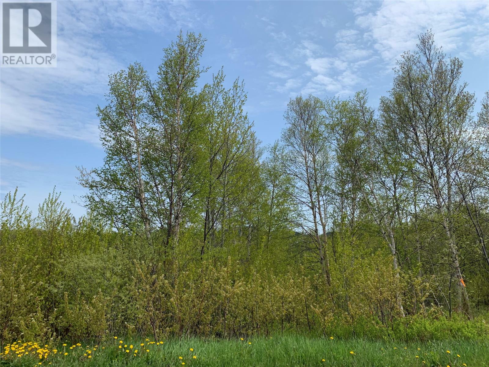 Property Photo:  2 Pond Road  NL A0G 2A0 