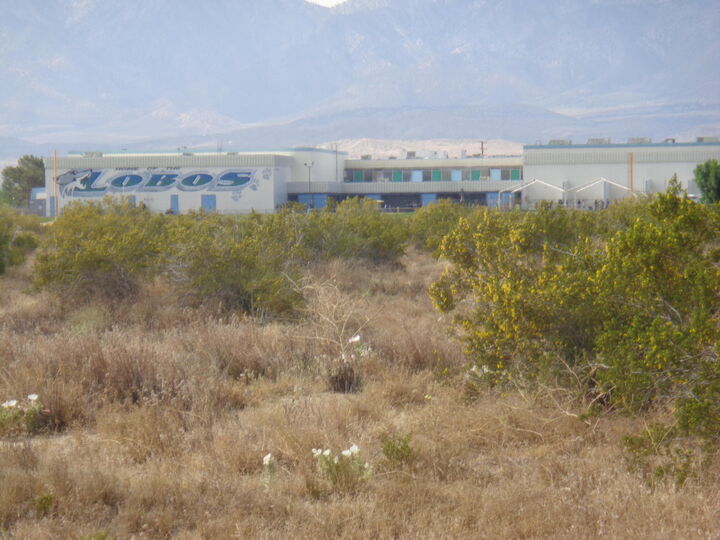 Property Photo:  108th Ste Palmdale Blvd  CA 93543 