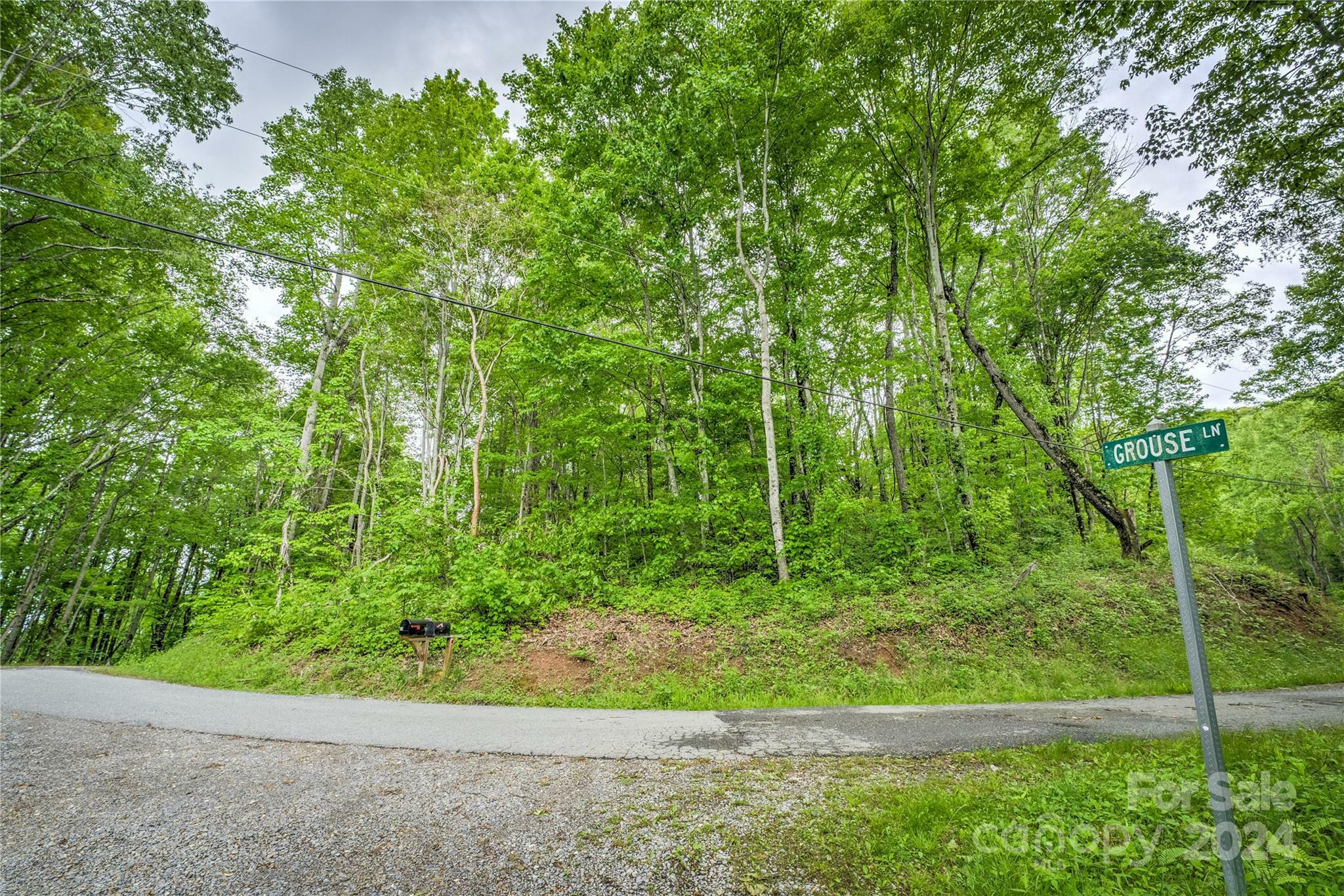 Property Photo:  9999 Old Country Road  NC 28786 