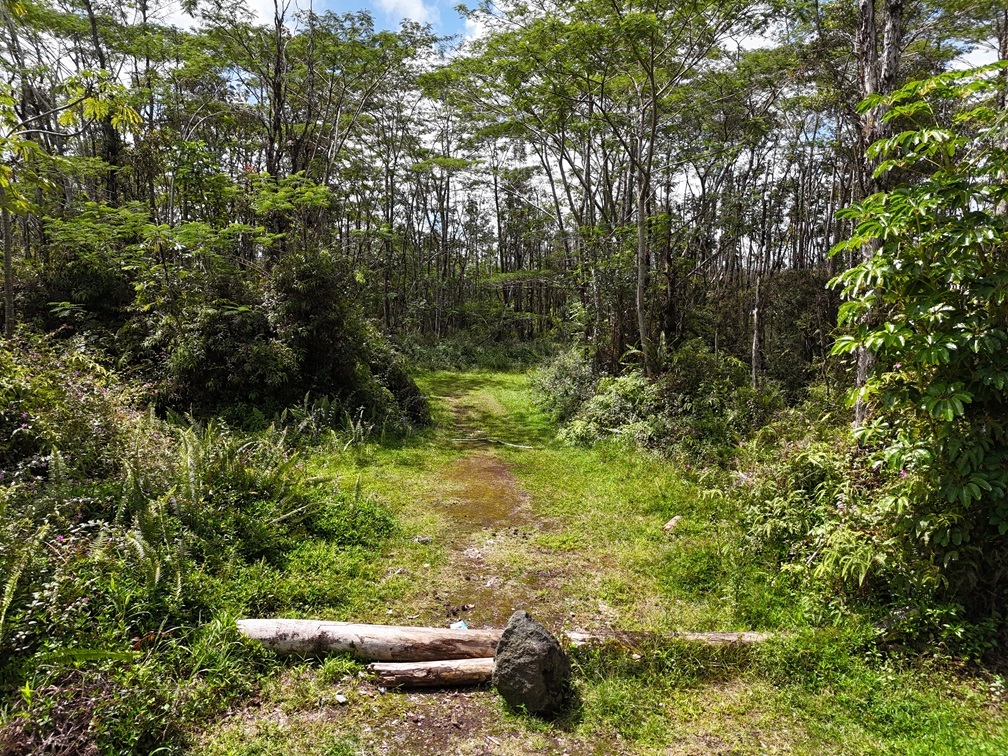 Property Photo:  Camden Circle  HI 96778 