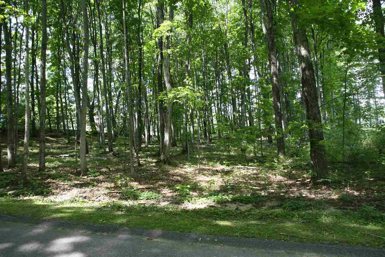 Property Photo:  2849 Greenbriar  MI 49740 