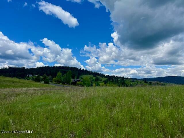 Nna Black Rock Lt 19 Blk 4  Coeur D'Alene ID 83814 photo