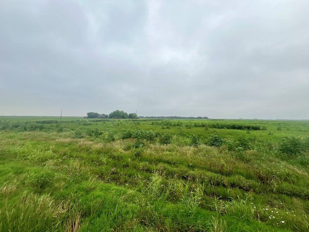 Property Photo:  1701 County Rd 364  TX 76530 