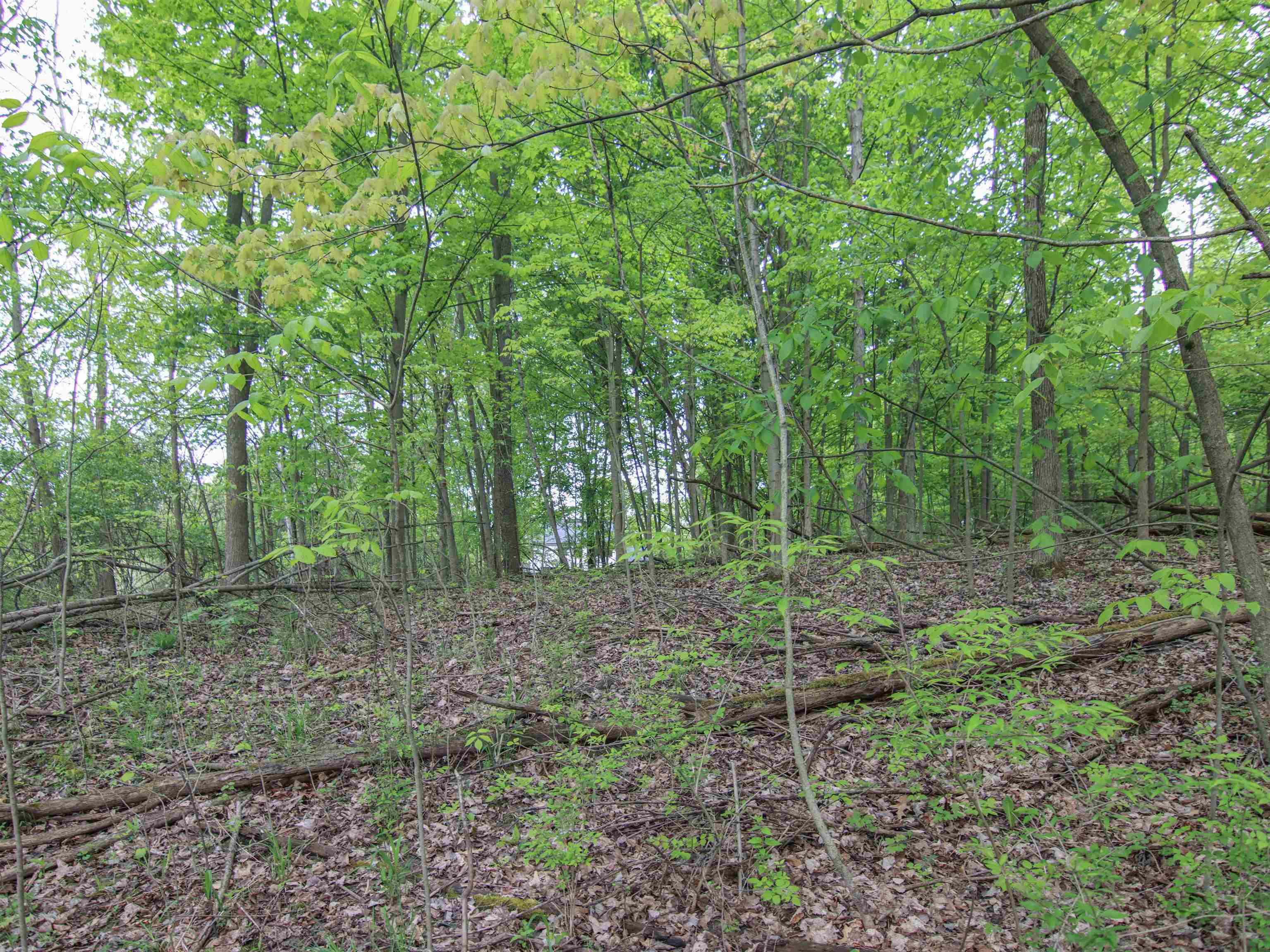 Property Photo:  00-Lot 128 Ledgewood  MI 48430-9237 