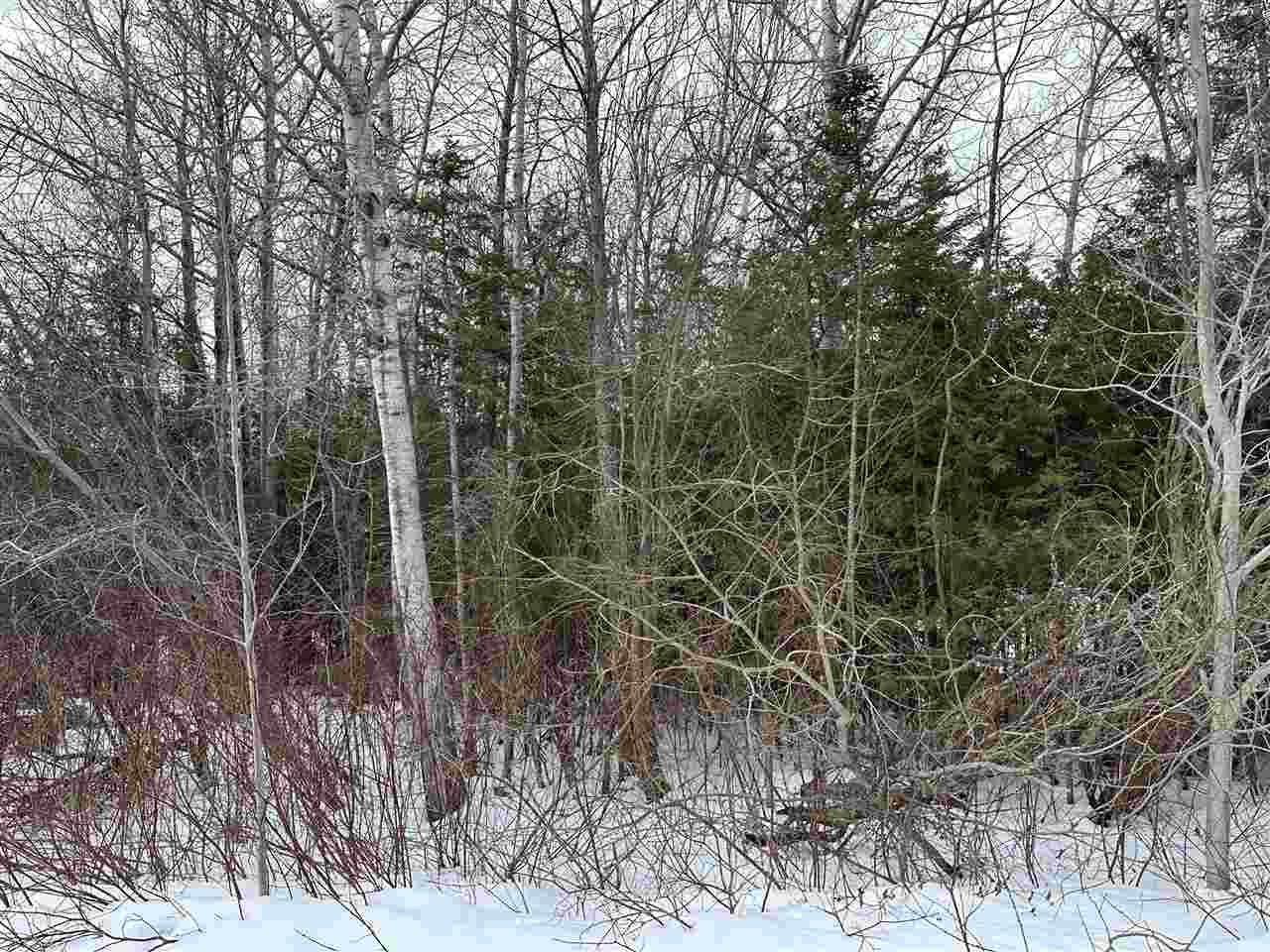Property Photo: 10623 Steves MI 49701